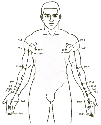 pericardium-meridians left Gratitude Meridian right Generosity Meridian